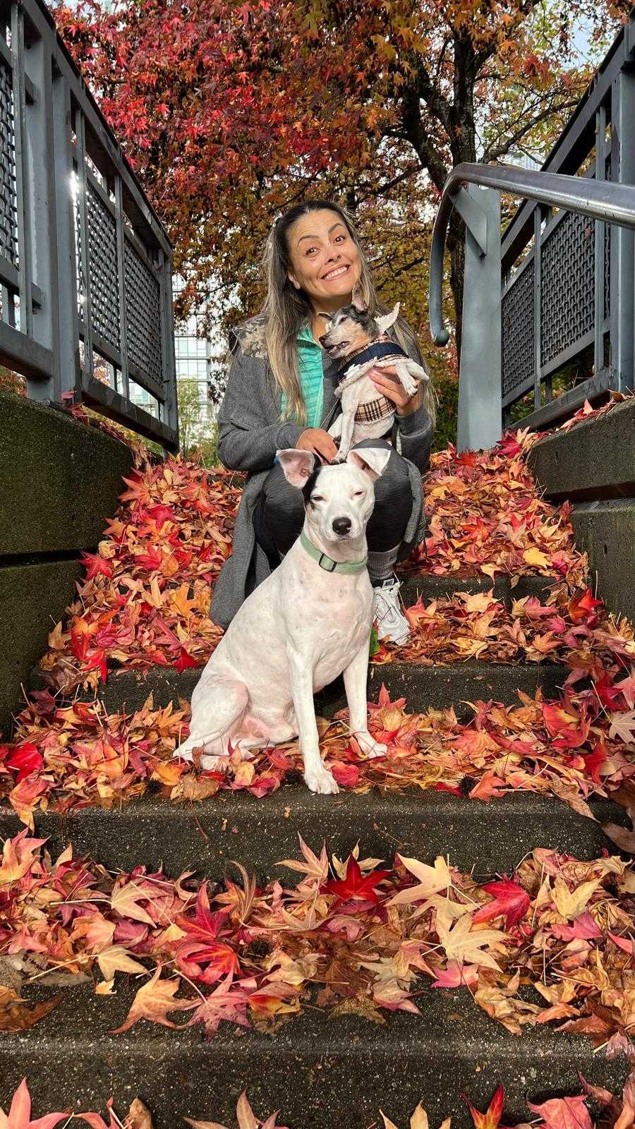 Smiling groomer kneeling on autumn-leaf-covered steps with two dogs: a small dog in a knit sweater held in her arms and a calm white dog sitting in front of her